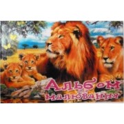 Альбом для малювання А4 (спіраль, 10 арк.) PB-SC010-127, Школярик (Star)