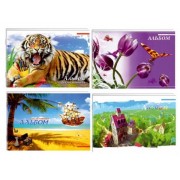 Альбом для малювання А4 (обкл. в асортименті, 12 арк) - Графіка АА4512