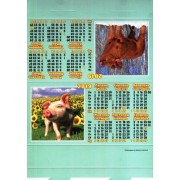 Календар-палатка - 2019 (стійка) КП-03