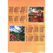 Календар-палатка - 2019 (стійка) КП-06